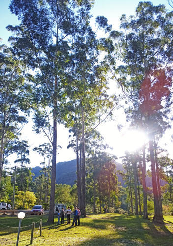 Singing-under-trees-sml.jpg